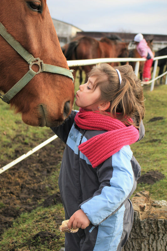 How Horses Support Physical and Mental Health