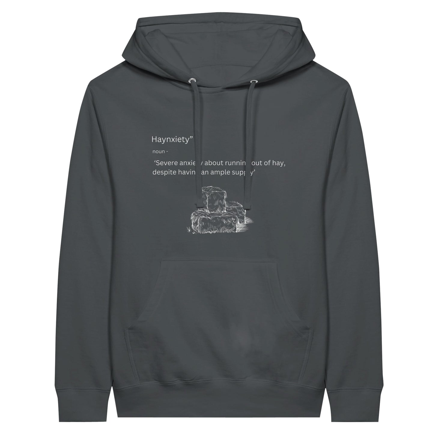 Gray pullover hoodie with the humorous phrase "Haynxiety" definition for horse enthusiasts.