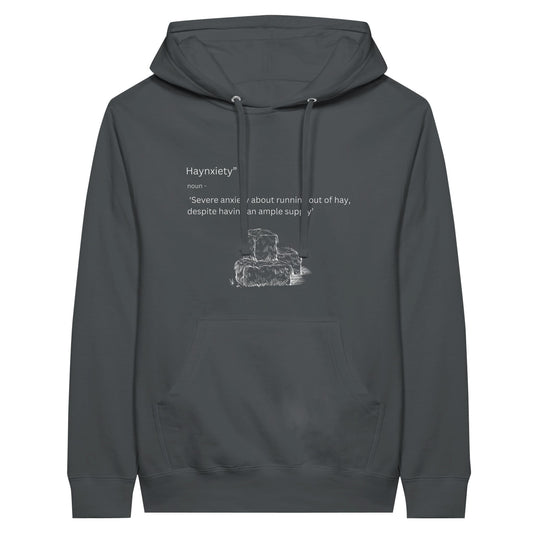 Gray pullover hoodie with the humorous phrase "Haynxiety" definition for horse enthusiasts.

